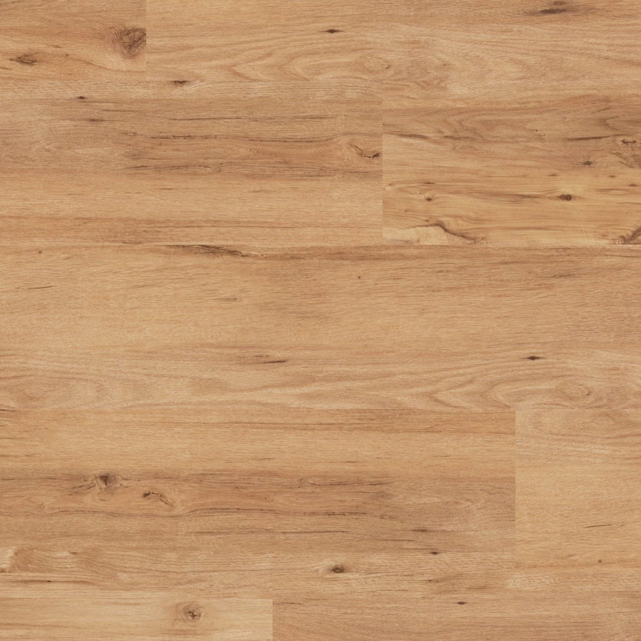 LooseLay - Cambridge LLP113