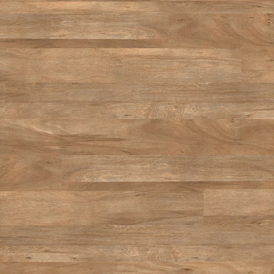 Colonia - Mountain Alder 4401