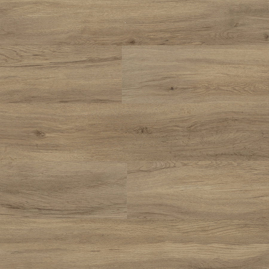 Colonia - Coastal Driftwood 4453