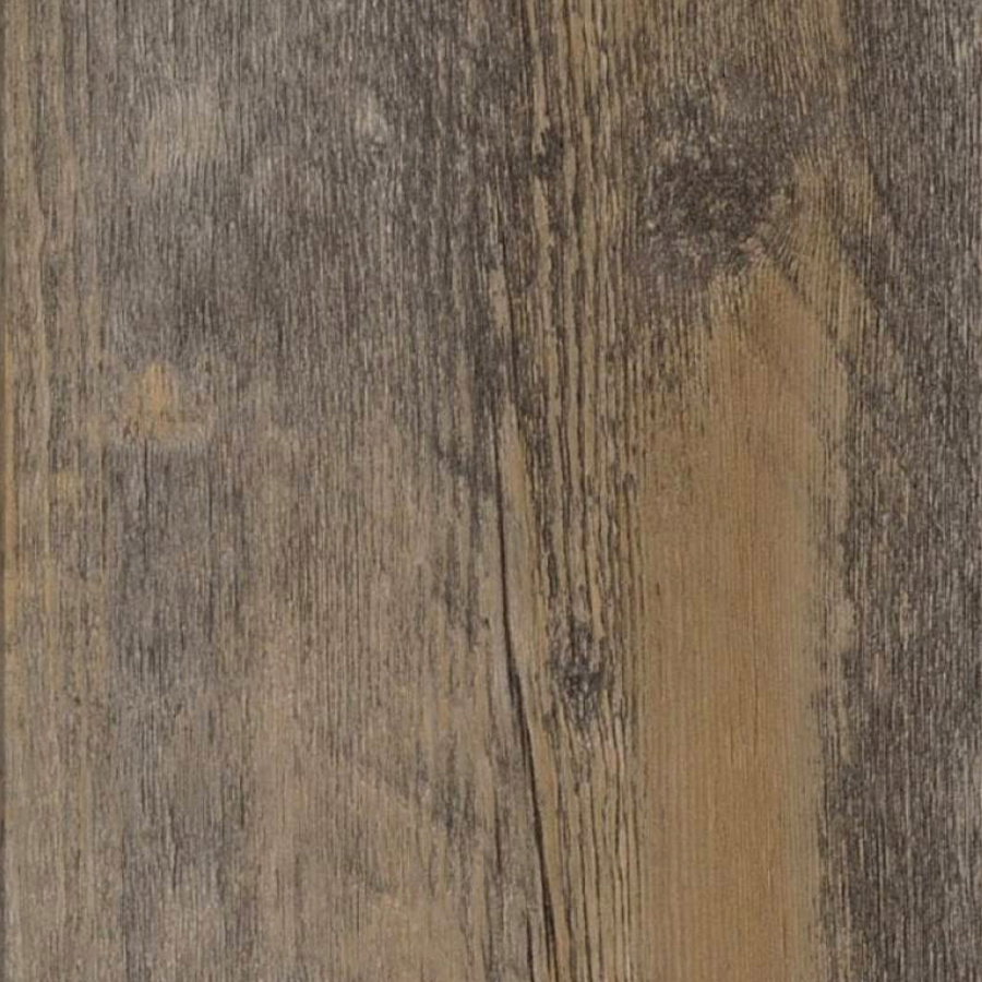 Design - Sun Bleached Spruce