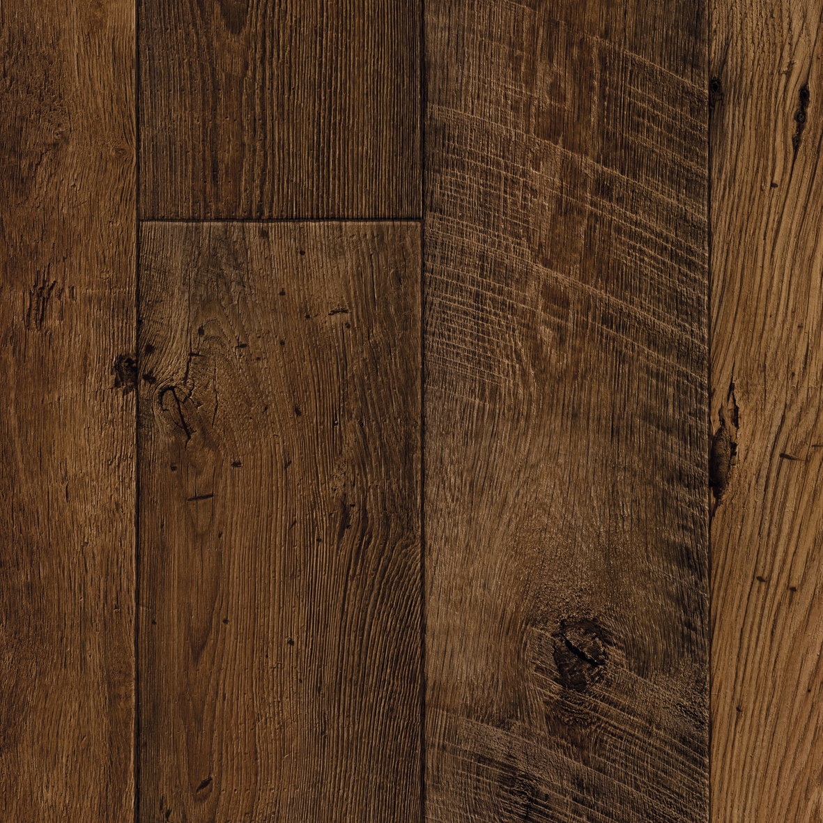 Forest - Chestnut Brown