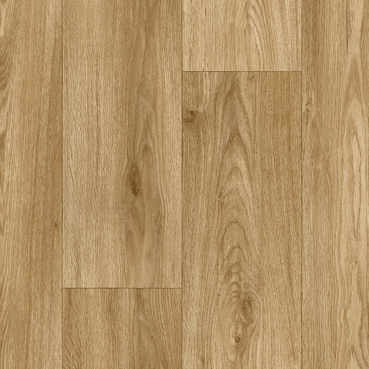 Forest - English Oak