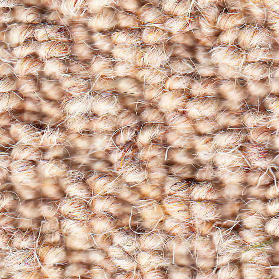 Auckland - Hive Oatmeal