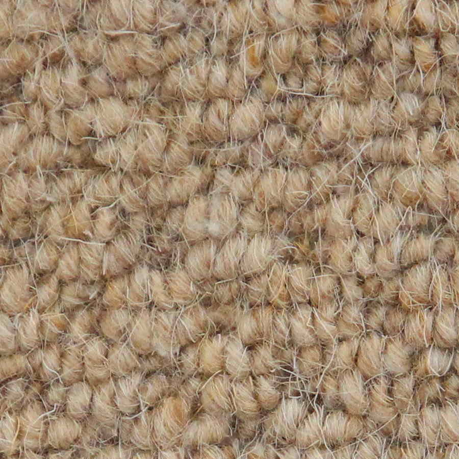 Auckland - Hive Corn