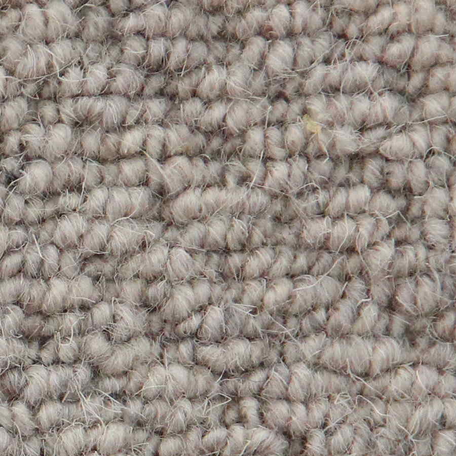 Auckland - Hive Moon