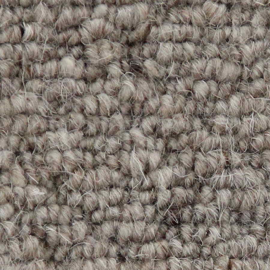 Auckland - Hive Stone