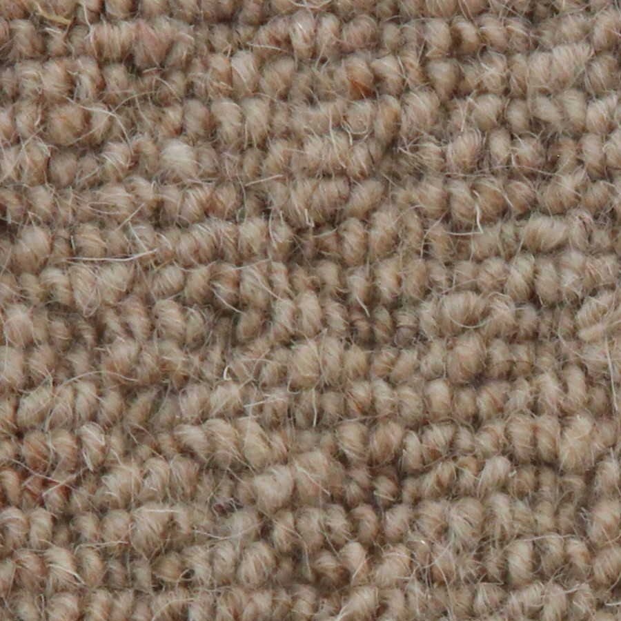 Auckland - Hive Wheat