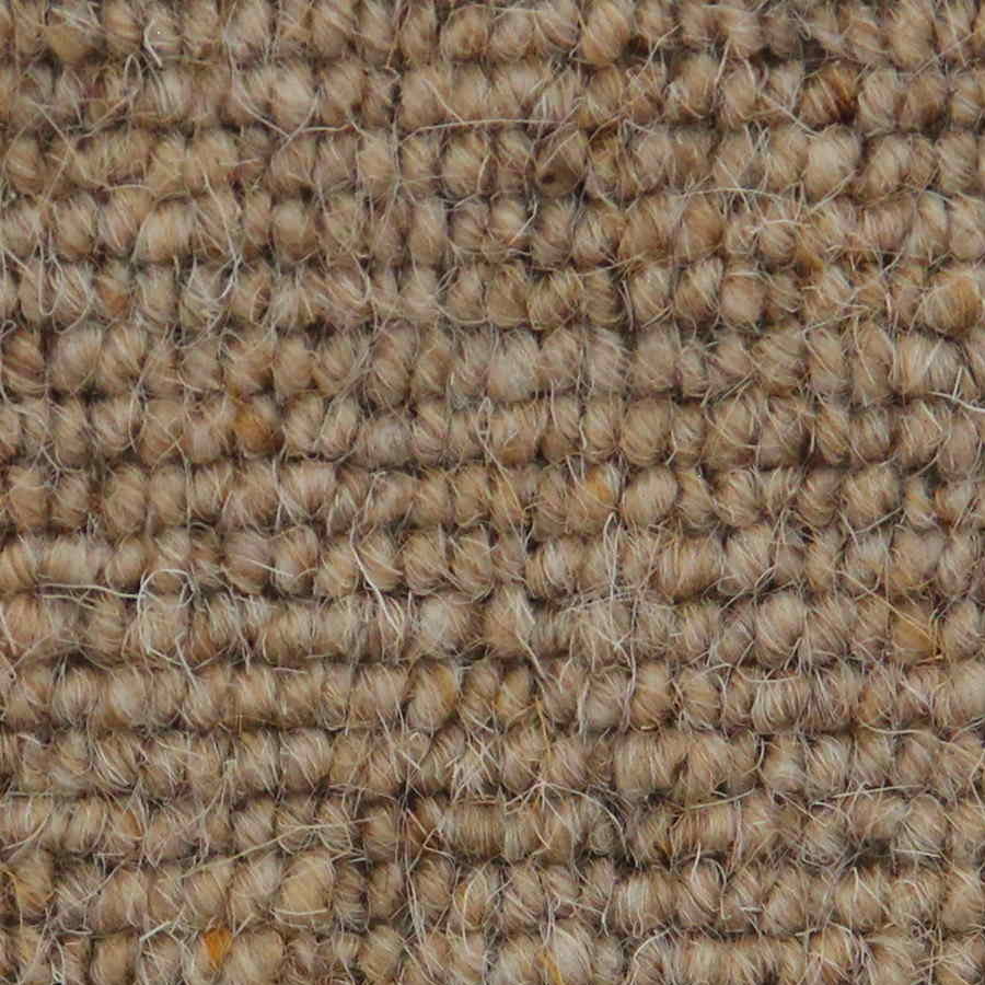 Auckland - Linear Corn