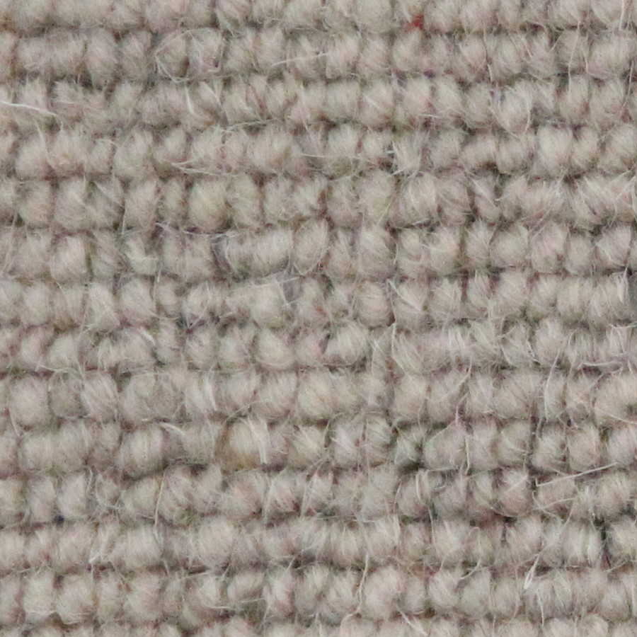 Auckland - Linear Moon