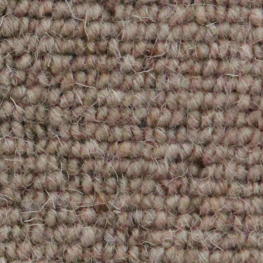 Auckland - Linear Wheat