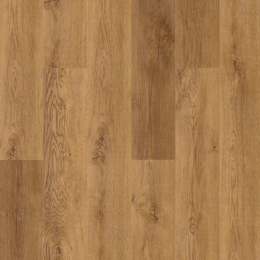 Next Step - Nevada Heat