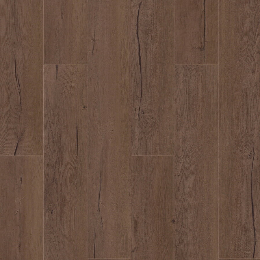 Next Step - Modern Havana