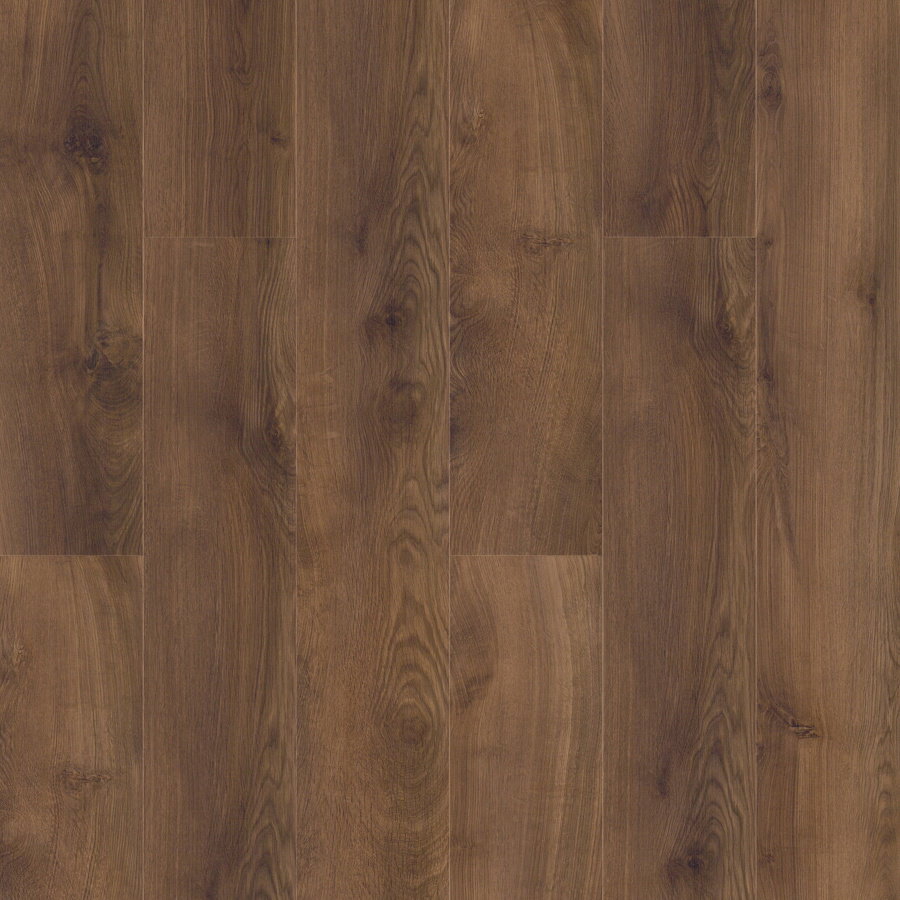 Next Step - Port Rotterdam