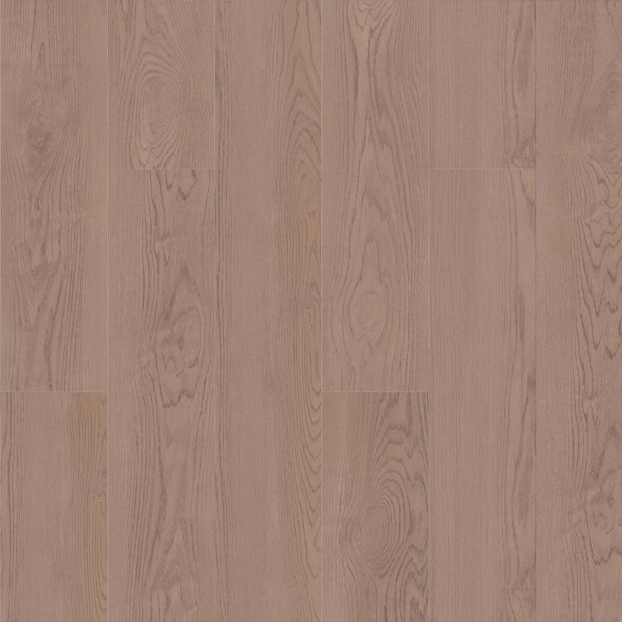 Next Step - Coral Bay