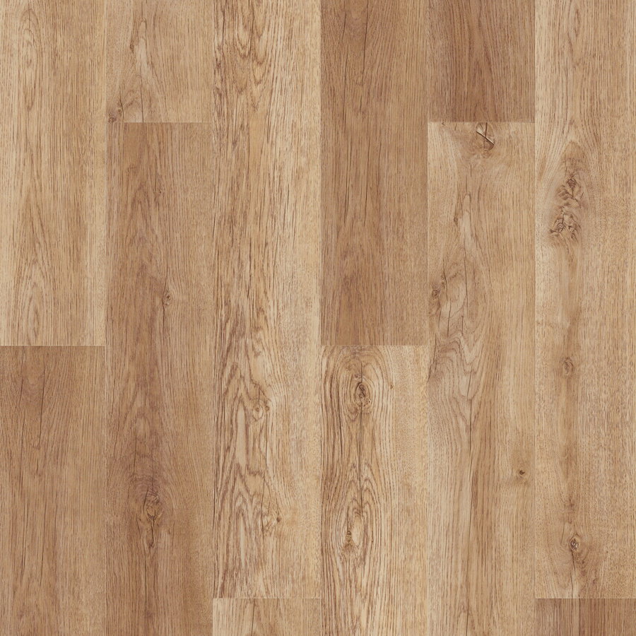 Next Step - Pacific Island