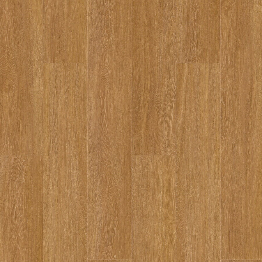 Next Step - Mystic Elba