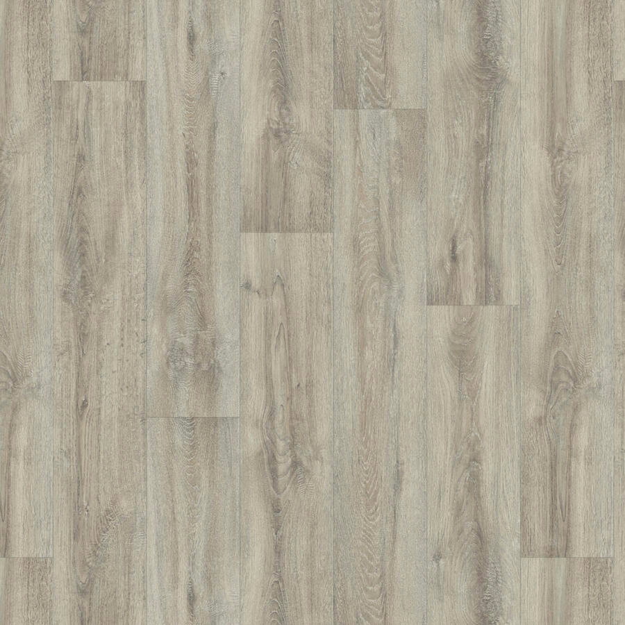 Texstar - Apunara Oak Light Grey
