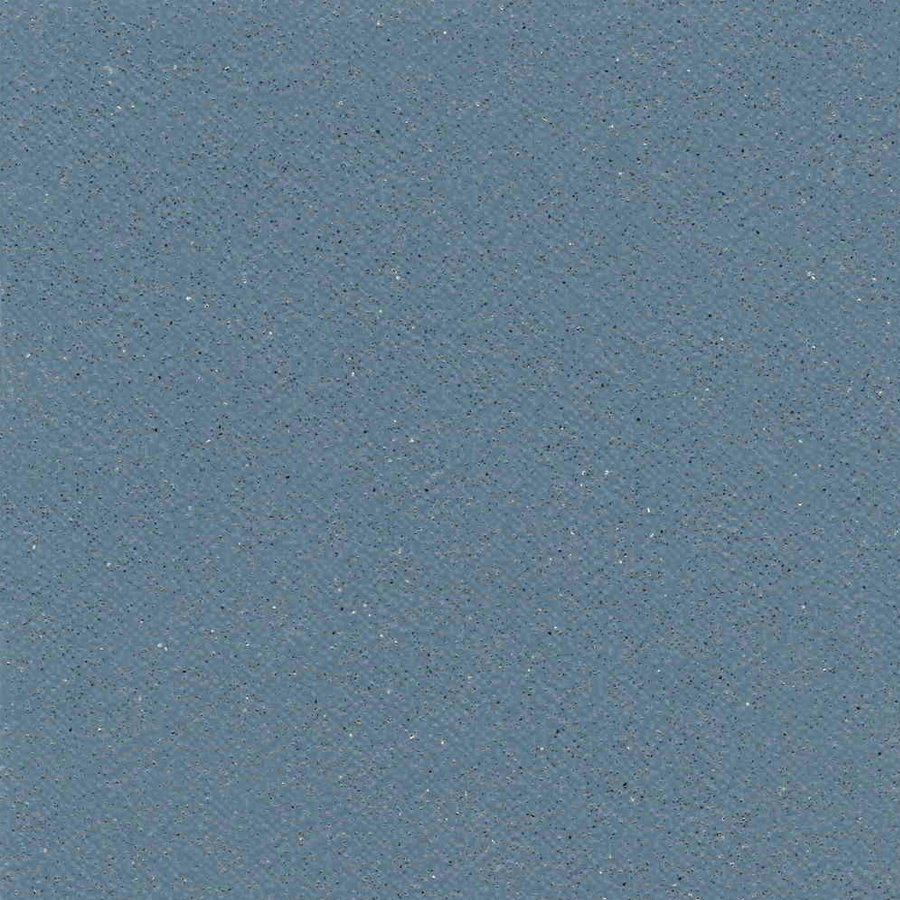 Tarasafe Standard 2mm - Baleine 7438
