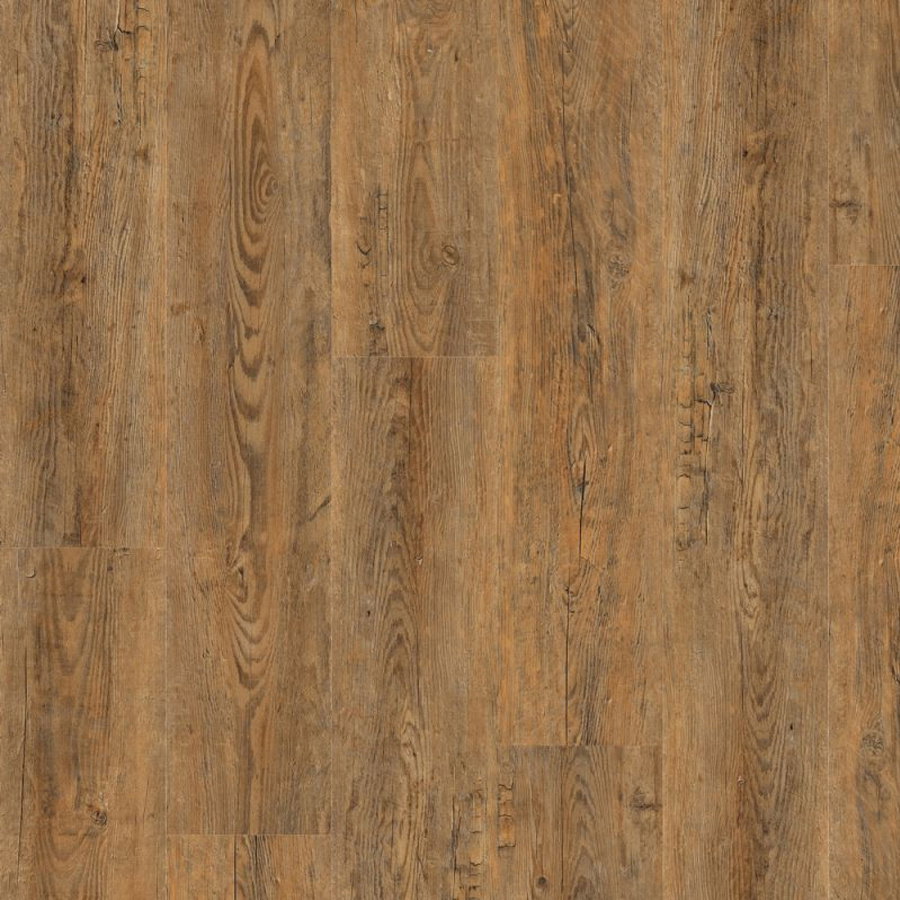 Camaro - Wild Amber Oak 2249