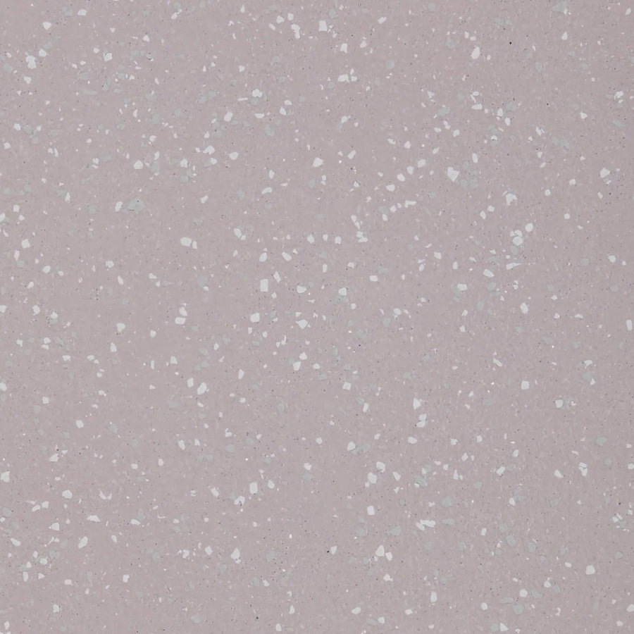 Aquarius - Salamander