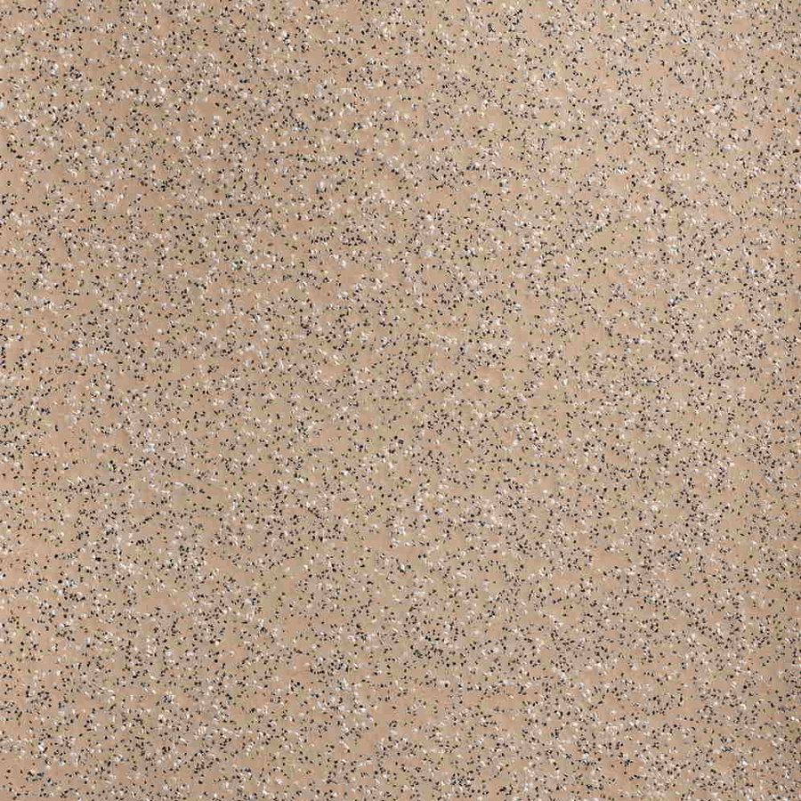 Stronghold 30 - Biscuit