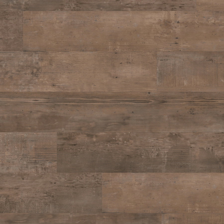 Van Gogh - Smoked School Cedar VGW138T