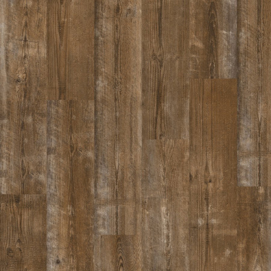 Alpha Bloom - Sundown Pine