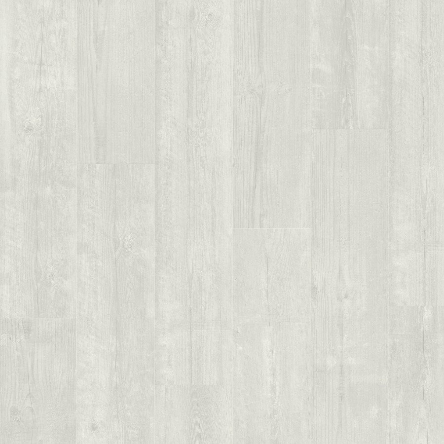 Alpha Bloom - Snow Pine