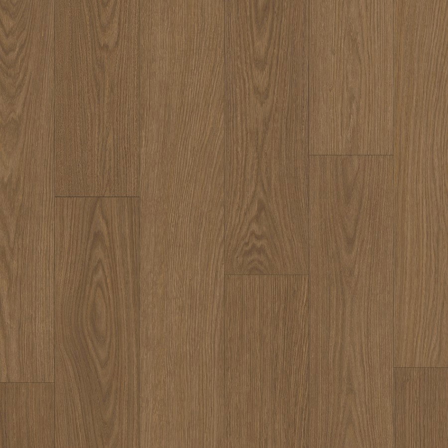 Alpha Blos - Cocoa Oak