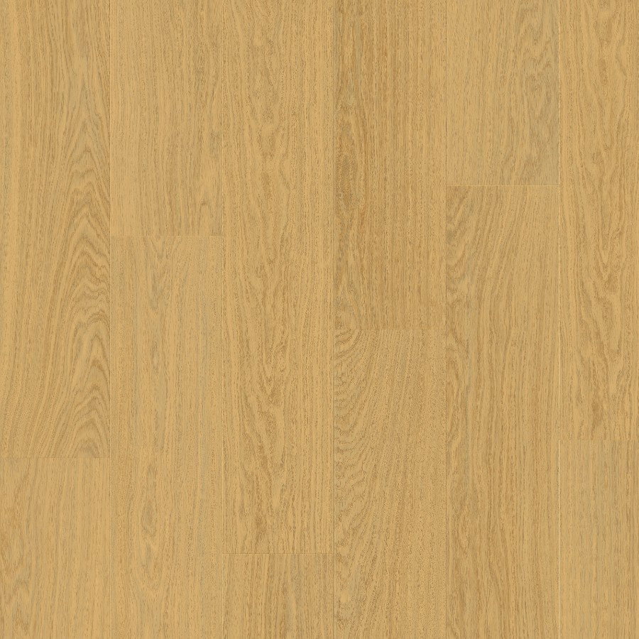 Alpha Bloom - Pure Oak Honey