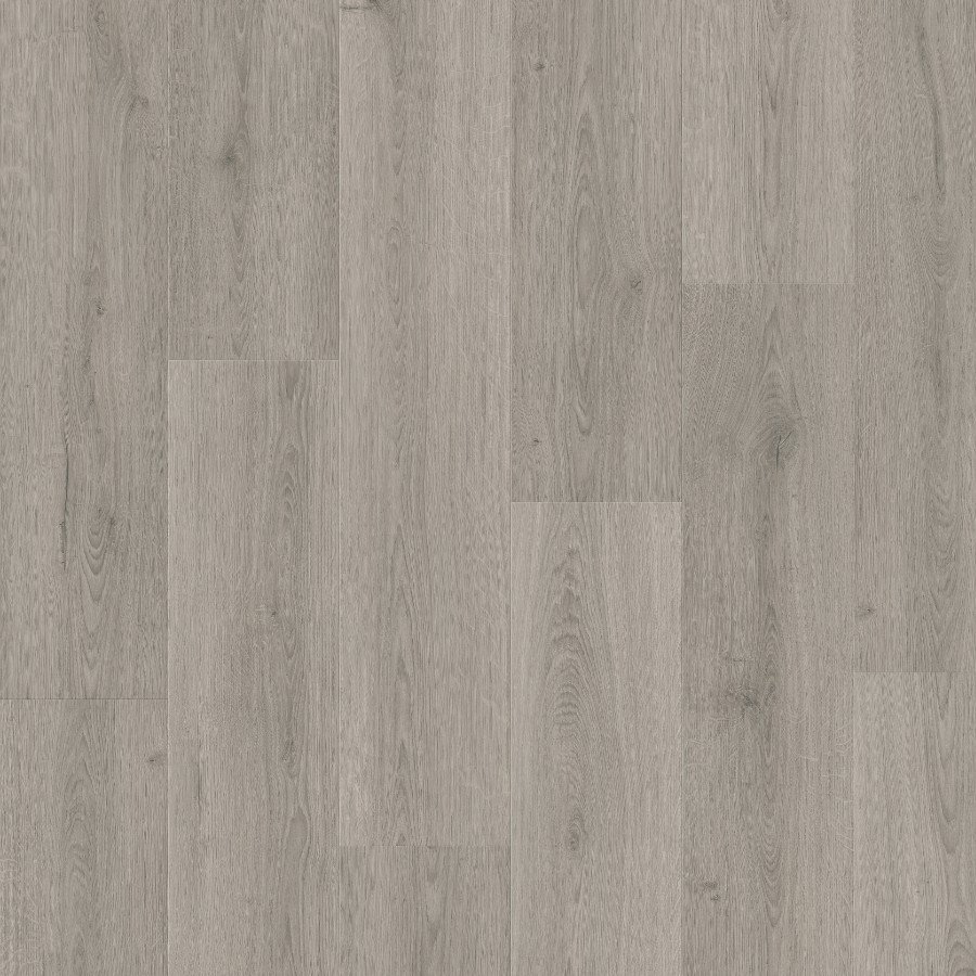 Alpha Bloom - Botanic Grey