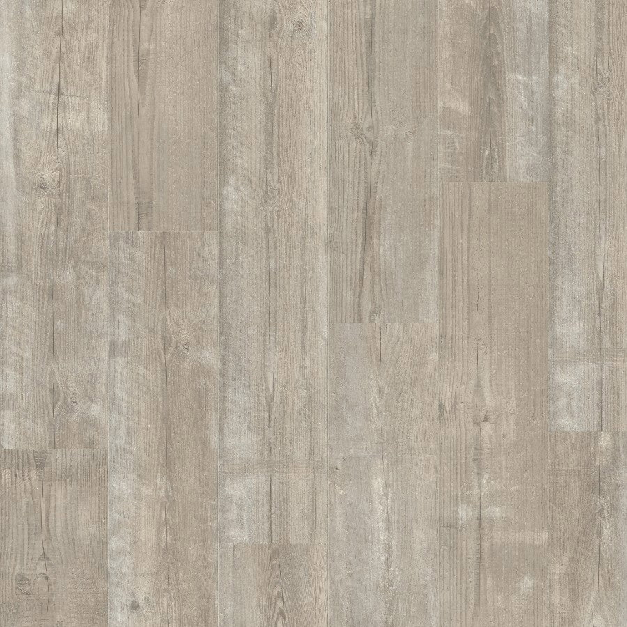 Alpha Bloom - Morning Mist Pine