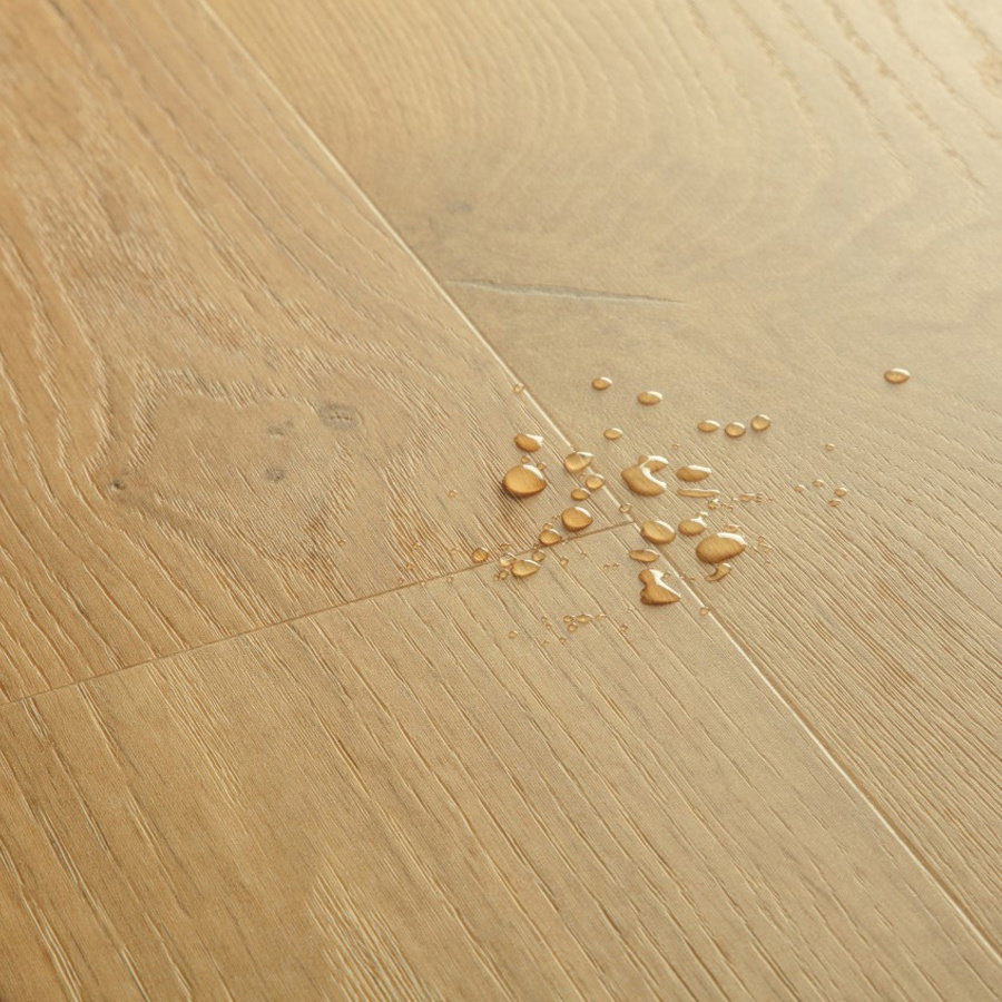 Alpha Blos Base - Coast Oak Honey