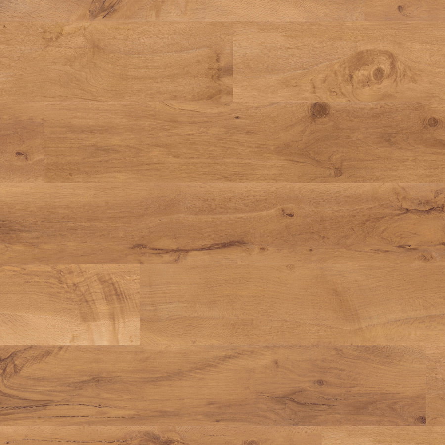 Van Gogh - Auckland Oak VGW52T