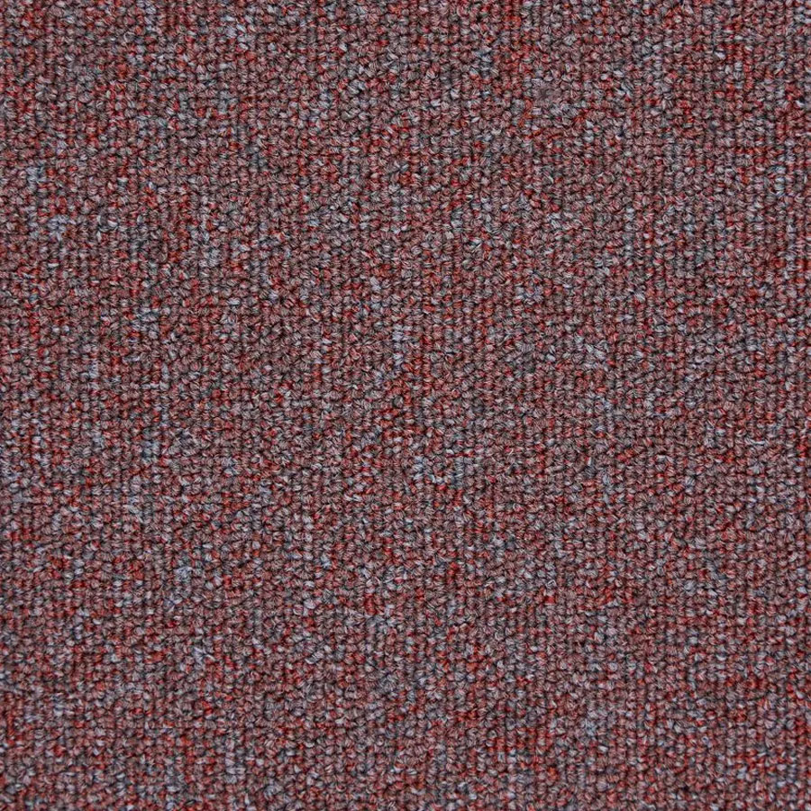 Triumph Loop 618 Berry