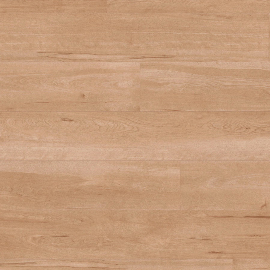 Van Gogh - Birch VGW84T