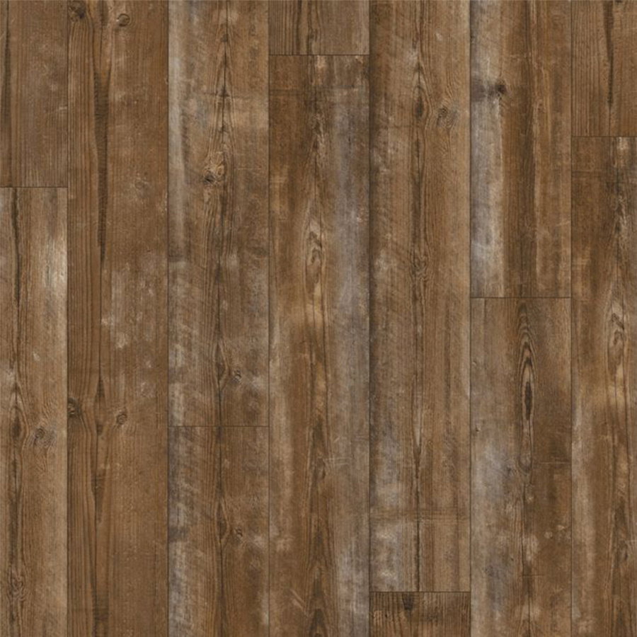 Livyn Alpha - Sundown Pine