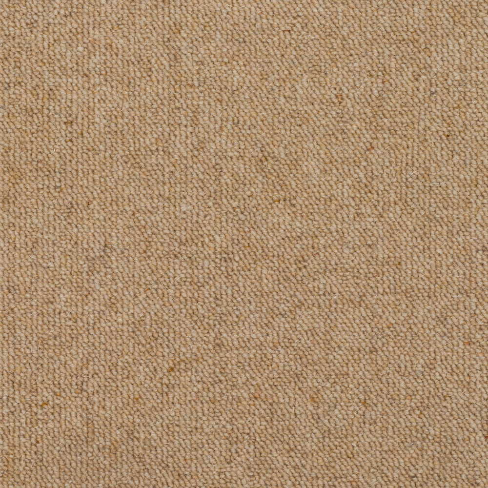 Prestige Design - Sandcastle Loop