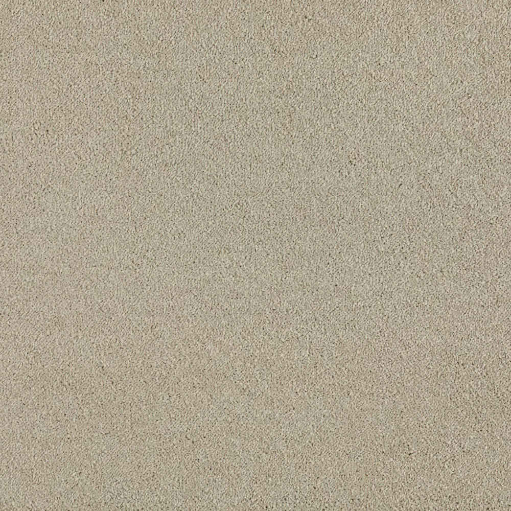 Sublime - Mocha Cream