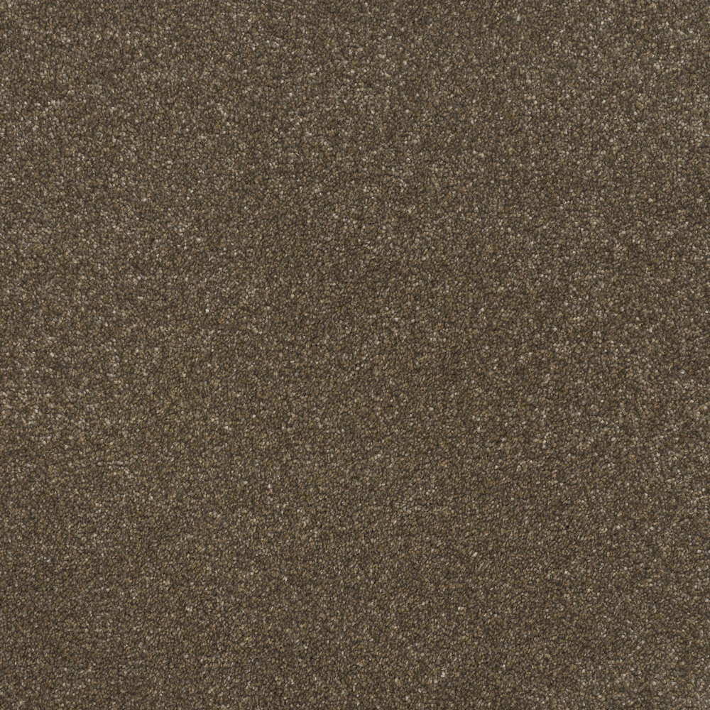 Pinnacle Twist - Bear Cub