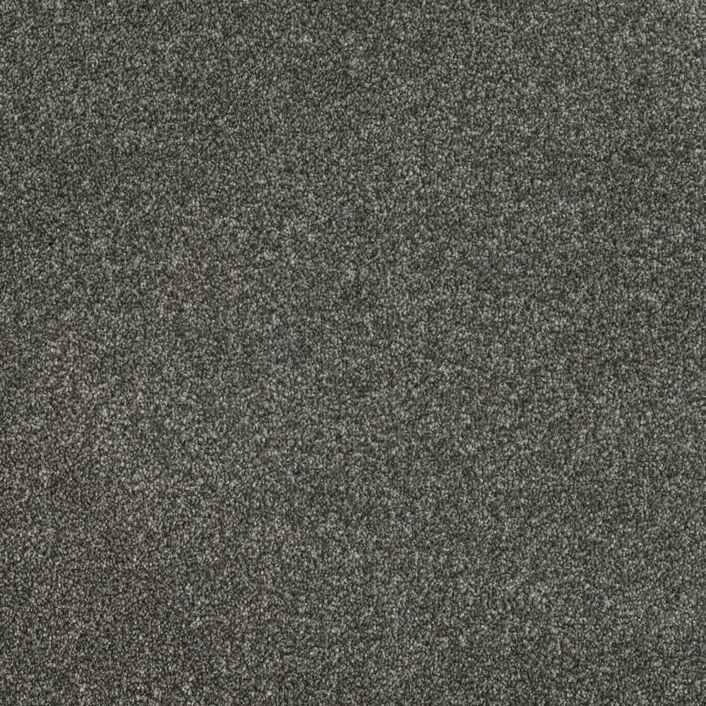 Pinnacle Twist - Phoenix Fossil