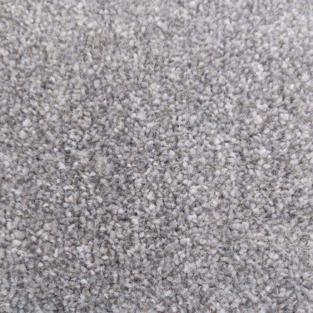 Emperor - African Grey