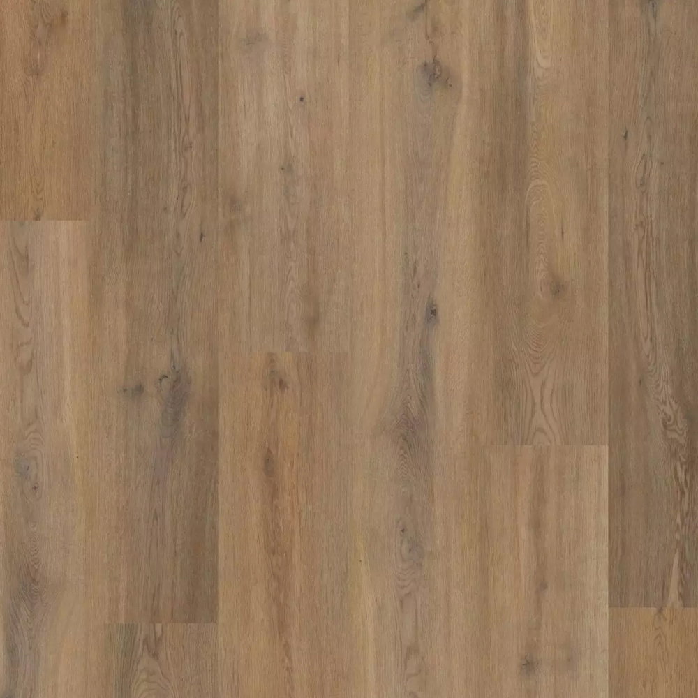 Colonia - Story Oak 4389