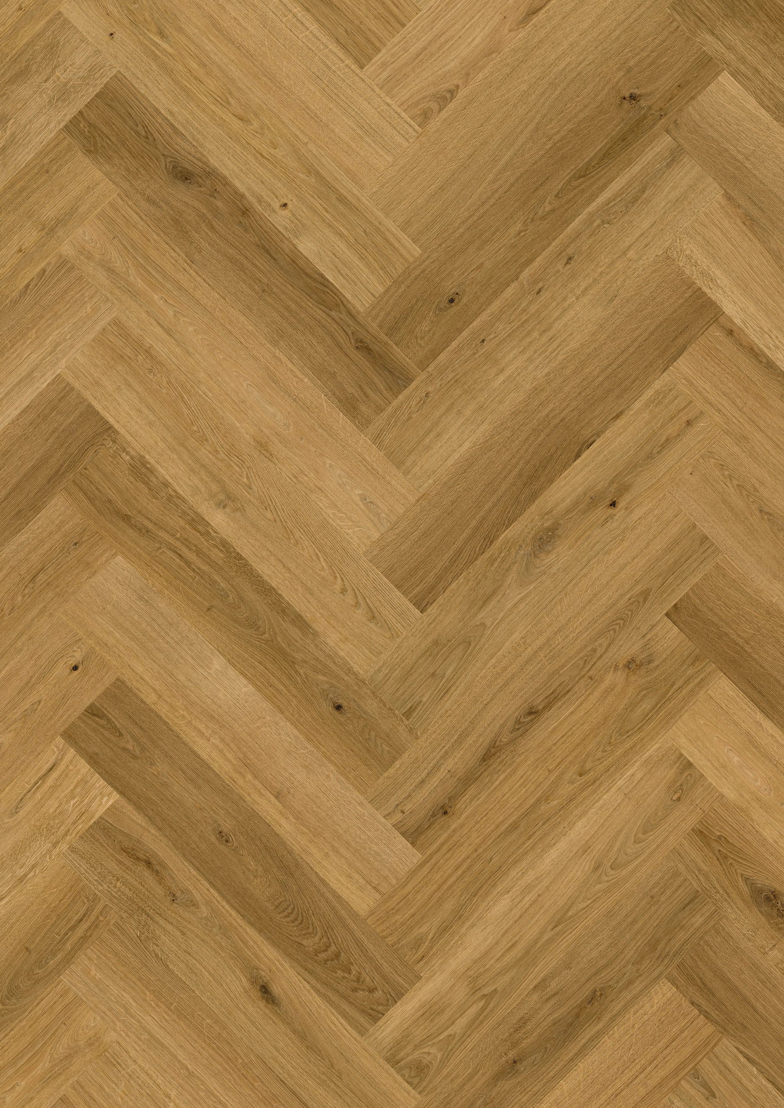 Impressive Design - Cinnamon Oak IMD8244