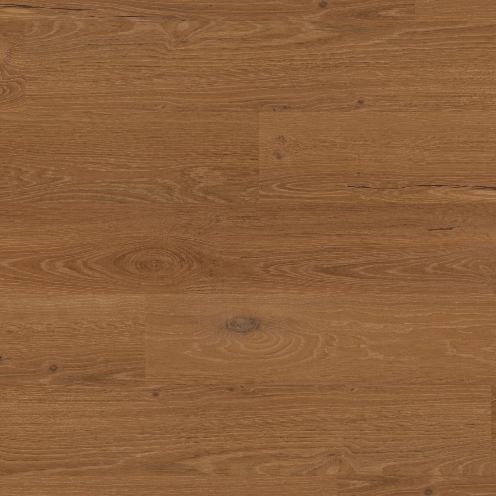 Essenza - Bologna Oak PVP404