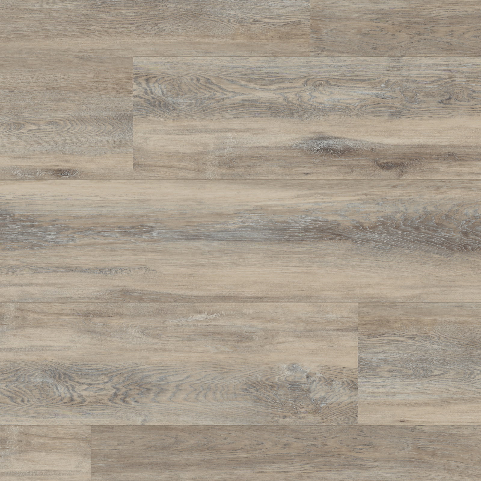 Rigid - Sicilia PVP142-SCB