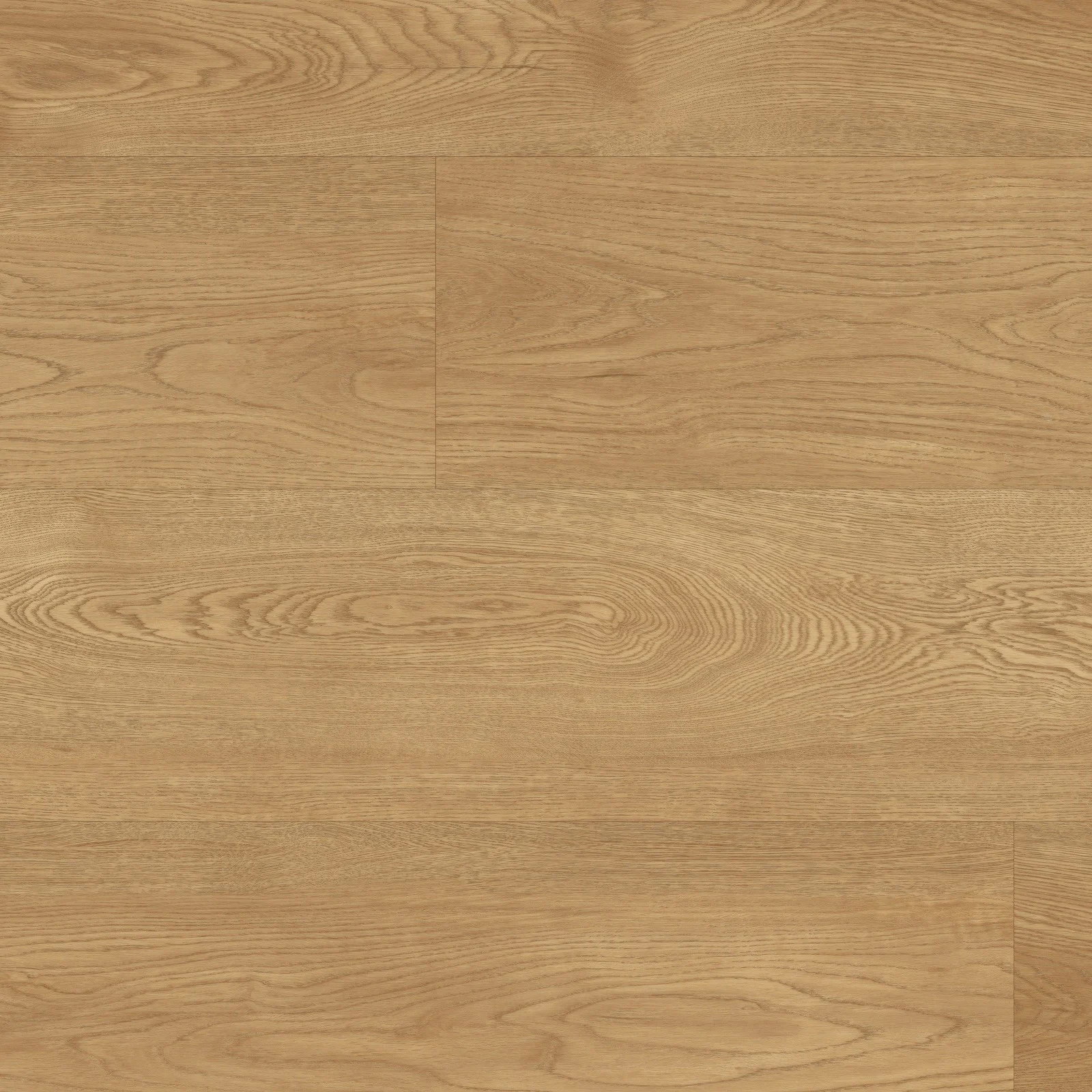 Rigid - Torcello PVP145-SCB