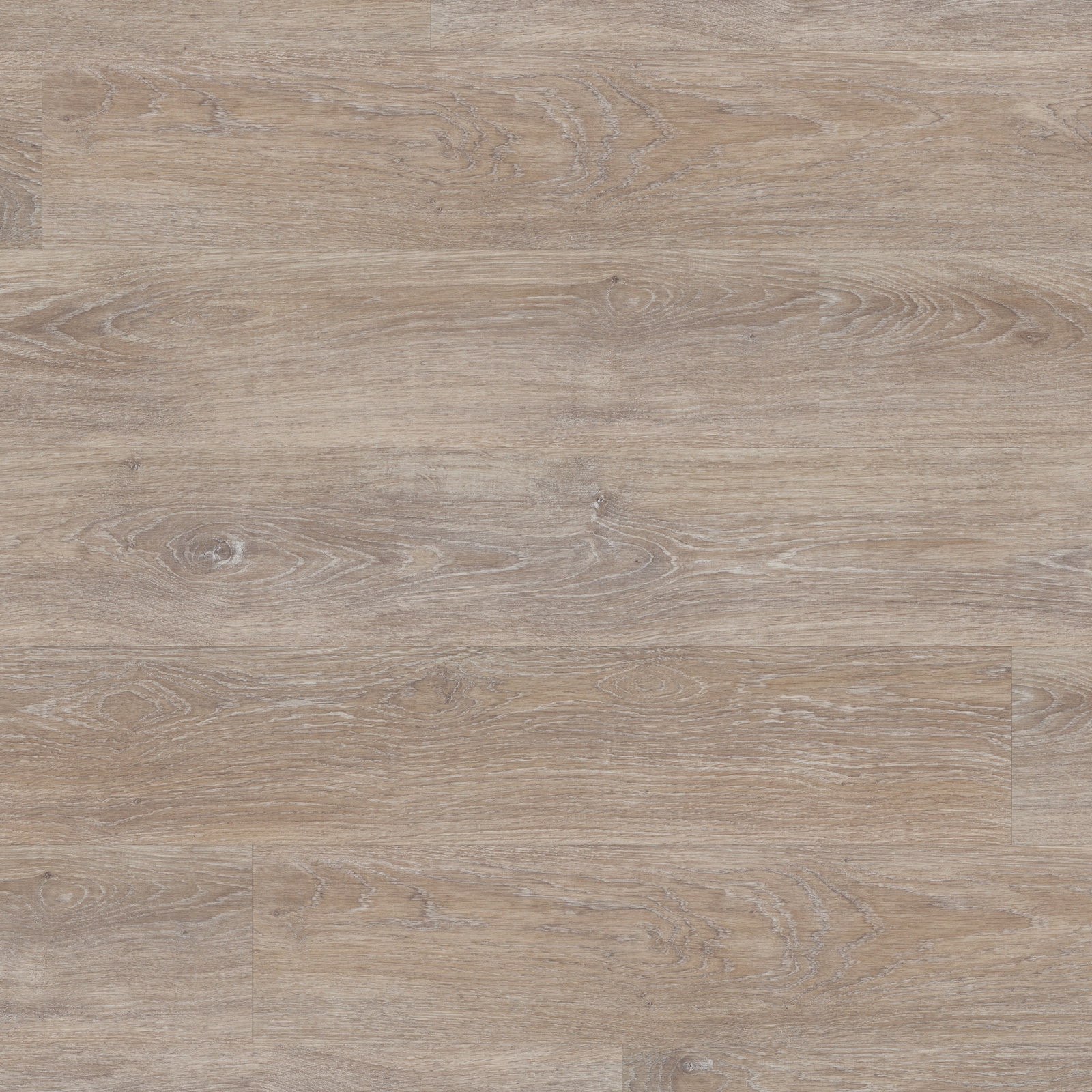 Core - Arezzo RCP6503