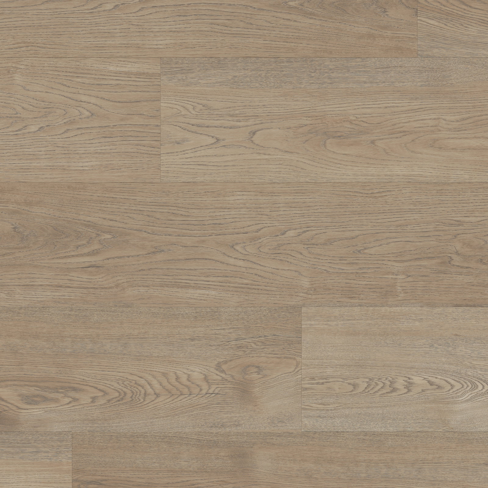 LooseLay - Budelli LLP146