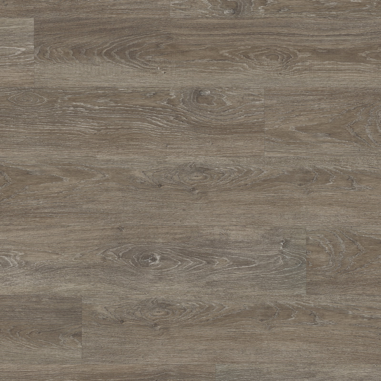 Core - Bolsena RCP6507